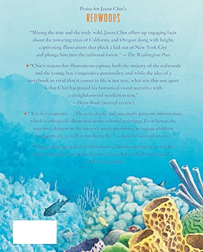 Coral Reefs: A Journey Through an Aquatic World Full of Wonder