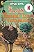 Puffin The Twits The Terrible Tale of Twitlandia.