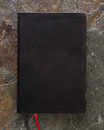 NIV, Thinline Bible, Giant Print, Bonded Leather, Black, Red Letter, Thumb Indexed, Comfort Print