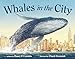 Whales in the City