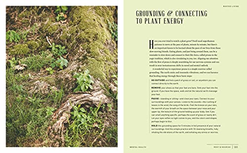 Root & Nourish: An Herbal Cookbook for Women's Wellness