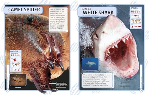 Nature's Deadliest Creatures Visual Encyclopedia (DK Children's Visual Encyclopedias)