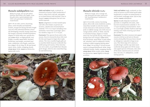 Mushrooms of the Northeastern United States and Eastern Canada (A Timber Press Field Guide)