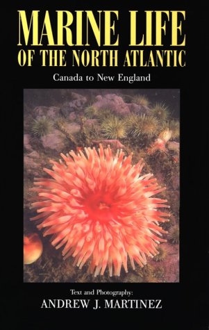 Marine Life of the North Atlantic : Canada to New England 2n Ed.