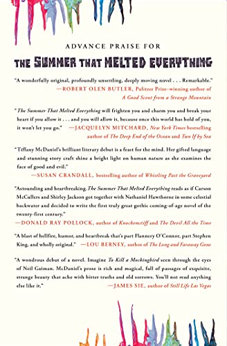 The Summer That Melted Everything: A Novel