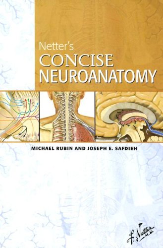 Netter's Concise Neuroanatomy (Netter Basic Science) by Rubi