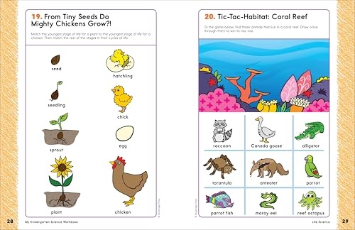 My Kindergarten Science Workbook: 101 Games & Activities to Support Kindergarten Science Skills