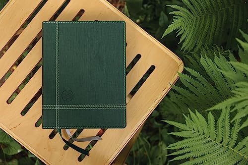 Rooted: The NIV Bible for Men, Leathersoft, Green, Thumb Indexed, Comfort Print