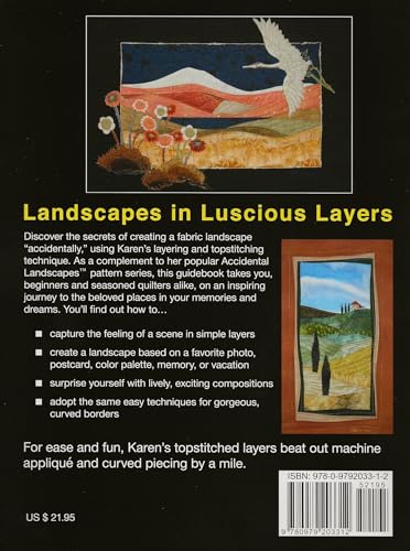 Accidental Landscapes — back cover