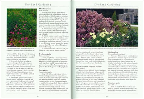 Dry-Land Gardening: A Xeriscaping Guide for Dry-Summer, Cold-Winter Climates