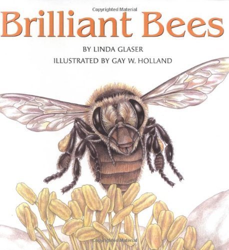 Brilliant Bees by Glaser, Linda