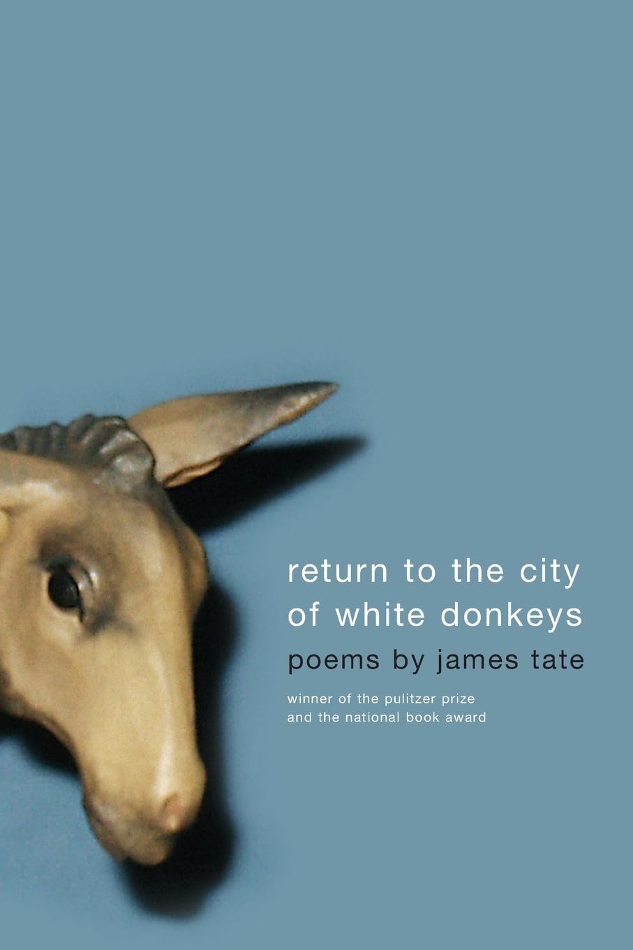 RETURN TO CITY WHI DONKEYS