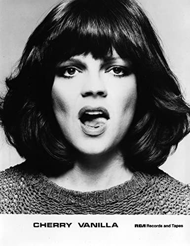 Let's Spend the Night Together: Backstage Secrets of Rock Muses and Supergroupies — back cover