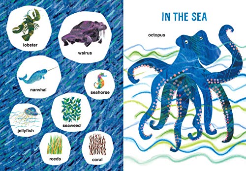 Eric Carle's Book of Many Things (The World of Eric Carle) — back cover