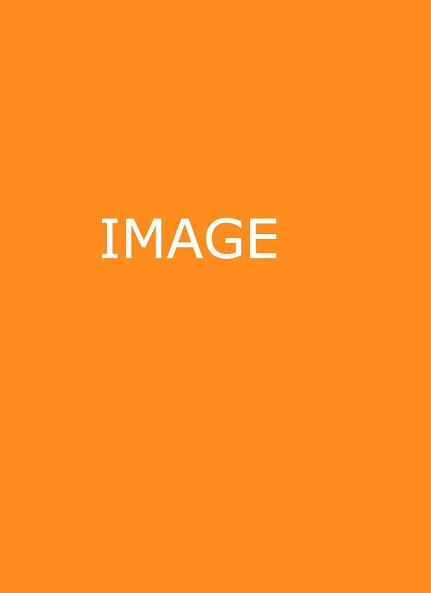 Integrated Chinese: Level 2, Part 1 Workbook (Simplified and Traditional Character, 3rd Edition) (Chinese and English Edition)