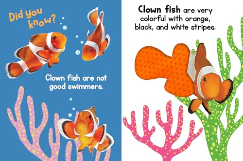 Ocean Friends - Touch and Feel Board Book - Sensory Board Book