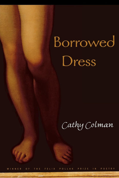Borrowed Dress (Volume 2001) (Wisconsin Poetry Series)