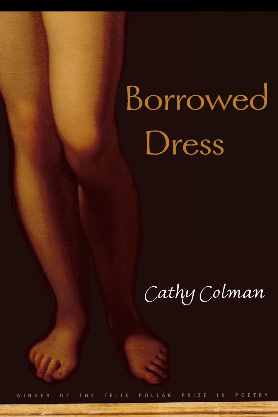 Borrowed Dress (Volume 2001) (Wisconsin Poetry Series)