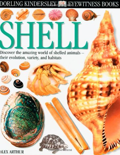 Eyewitness: Shell