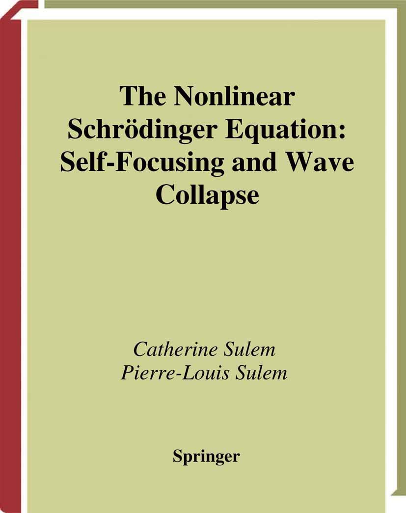 The Nonlinear Schrdinger Equation: Self-Focusing and Wave Collapse (Applied Mathematical Sciences, 139)