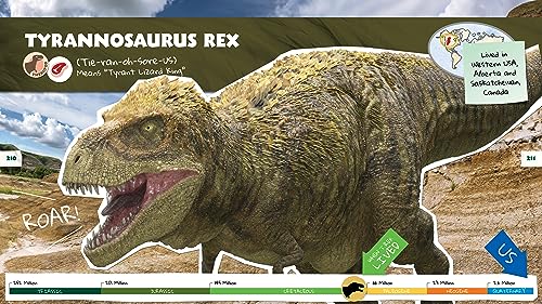 Dino Dana: Dino Field Guide by J.J. Johnson