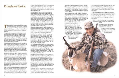 Pronghorn Hunting (The Complete Hunter)