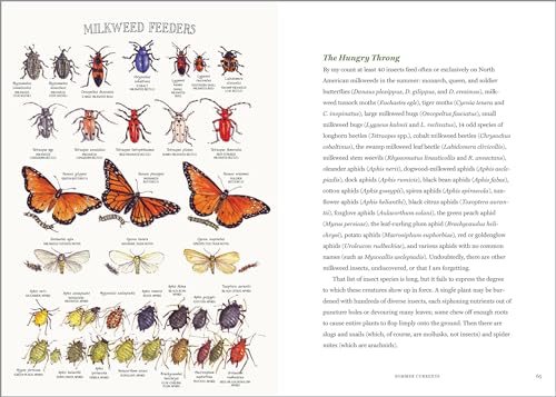 The Milkweed Lands: An Epic Story of One Plant: Its Nature and Ecology