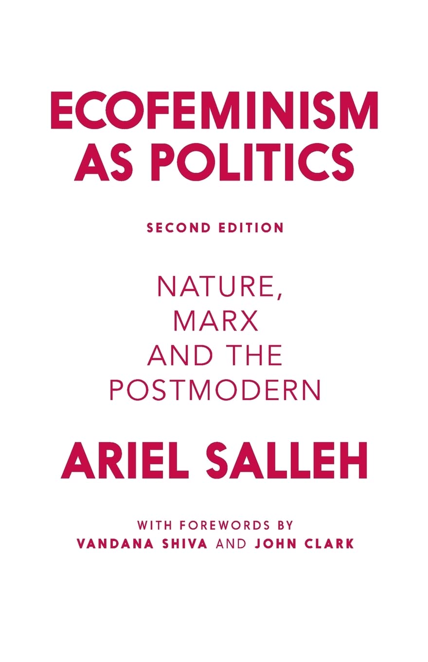 Ecofeminism as Politics: Nature, Marx and the Postmodern