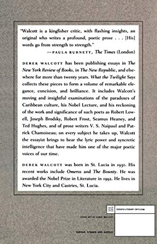 What the Twilight Says: Essays