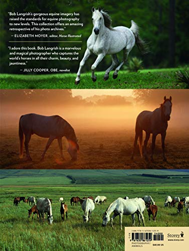 Bob Langrishs World of Horses: A Master Photographers Lifelong Quest to Capture the Most Magnificent Horses in the World