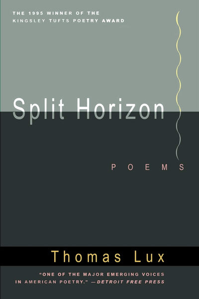 Split Horizon