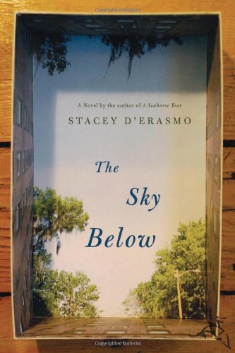 The Sky Below by D'Erasmo, Stacey