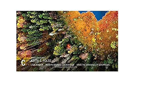 Grammar for Great Writing C