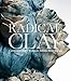 Radical Clay: Contemporary Women Artists from Japan
