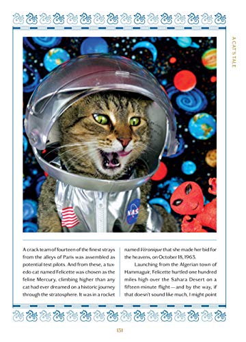 A Cat's Tale: A Journey Through Feline History by Koudounari