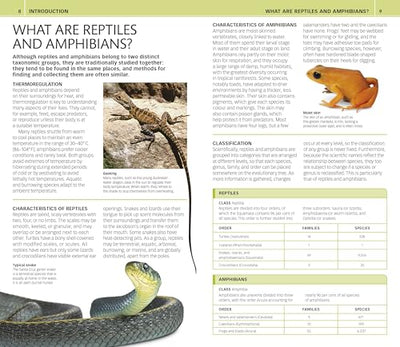 Nature Guide: Snakes and Other Reptiles and Amphibians: The World in Your Hands (DK Nature Guides)