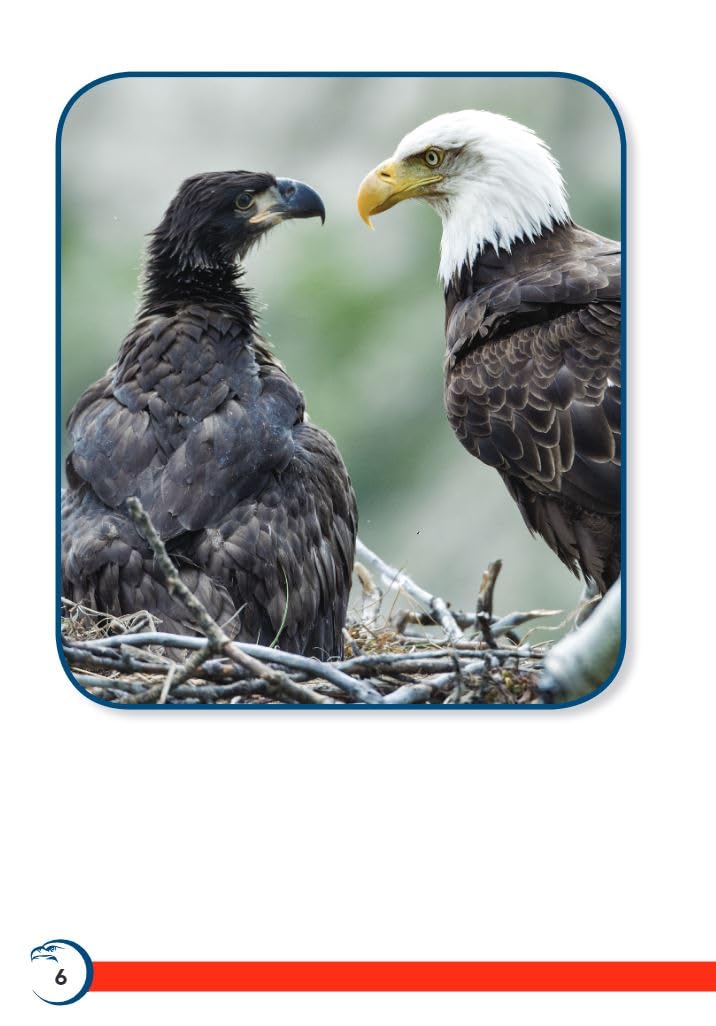 America's Eagle (TIME FOR KIDS Nonfiction Readers)