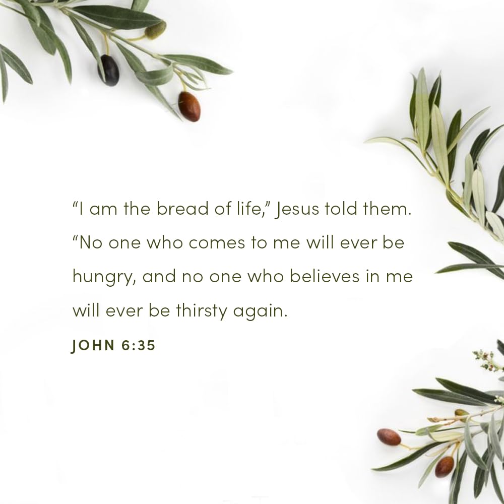 Finding I AM: How Jesus Fully Satisfies the Cry of Your Heart - Bible Study Book