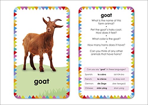My First Touch and Feel Picture Cards: Farm (My First Board Books)