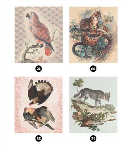 Brain Games - Sticker by Number - Vintage: Animals (28 Images to Sticker)