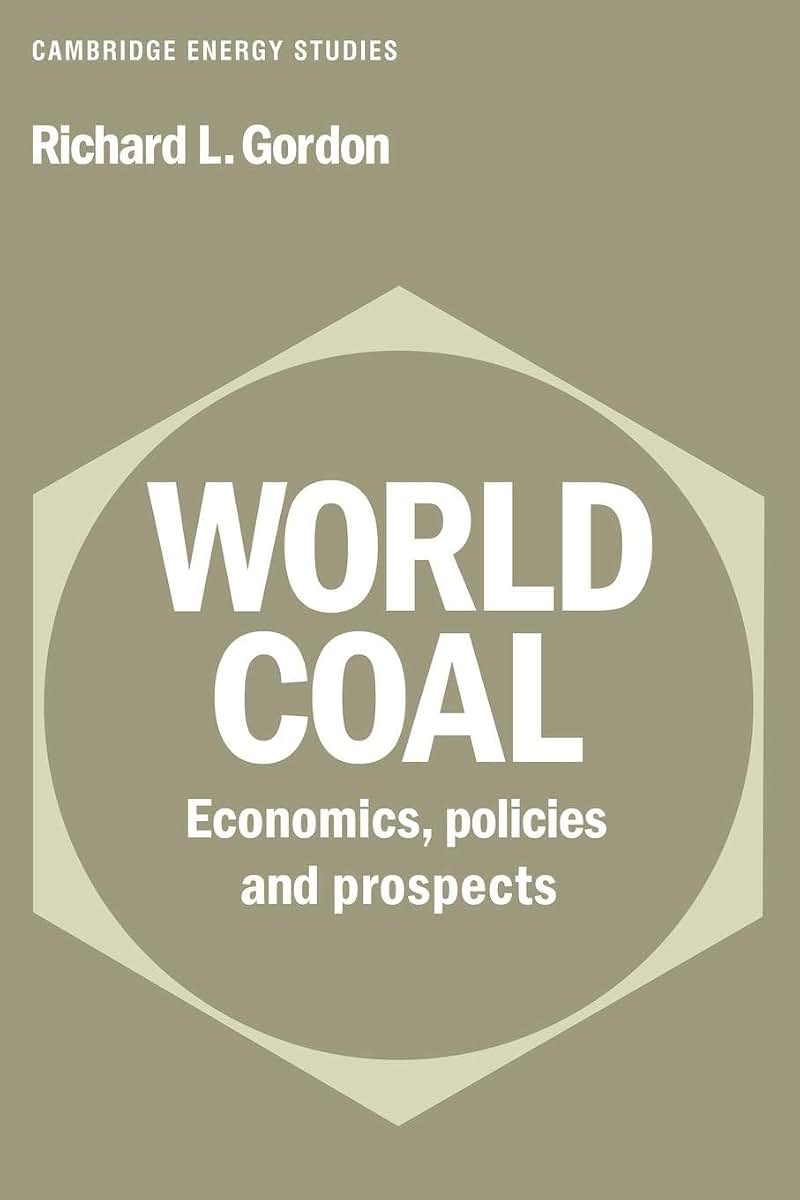 World Coal: Economics, Policies and Prospects (Cambridge Energy and Environment Series)