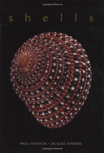 Shells