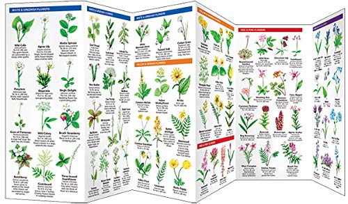 Alaska Trees & Wildflowers: A Folding Pocket Guide to Familiar Plants (Wildlife and Nature Identification)