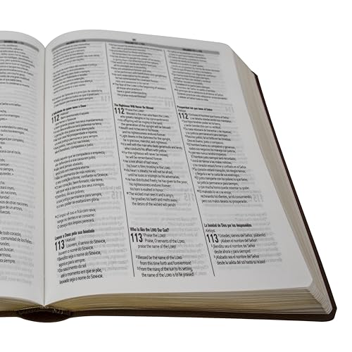 Biblia Trilíngue Portugus English Espaol NAA ESV RVC Marrón Símil Piel (English and Spanish Edition)
