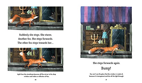 Fox Explores the Night: A First Science Storybook (Science Storybooks)