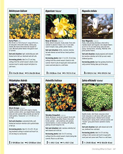 Plant Combinations for an Abundant Garden: Design and Grow a Fabulous Flower and Vegetable Garden (Creative Homeowner) Practical Advice, Step-by-Step Instructions, and a Comprehensive Plant Directory