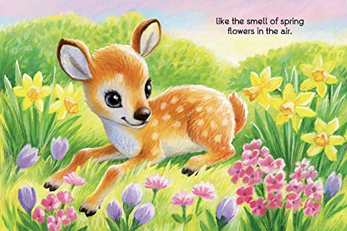 I Love You More - Childrens Padded Board Book by Little Hipp