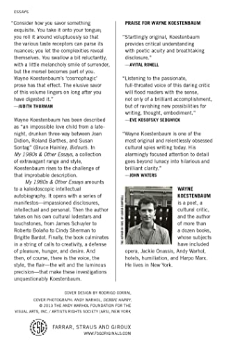 My 1980s and Other Essays — back cover