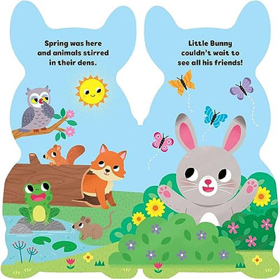 Little Bunny (Little Shaped Board Books)