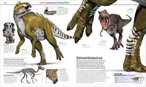 Knowledge Encyclopedia Dinosaur!